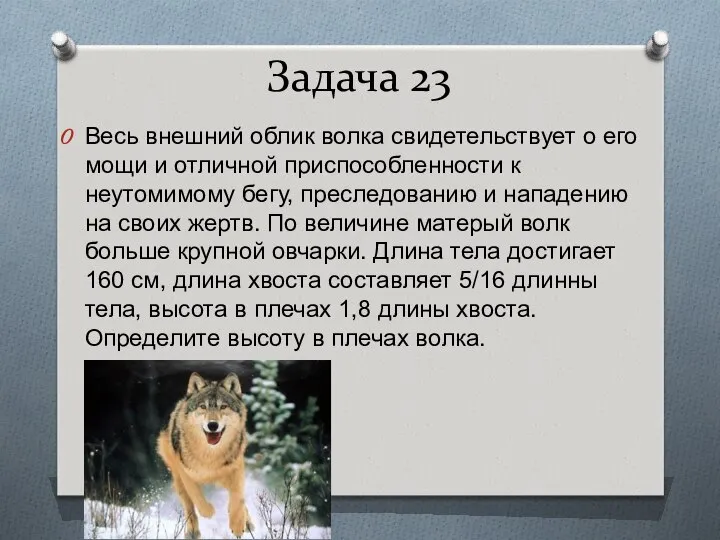 Задача 23 Весь внешний облик волка свидетельствует о его мощи и