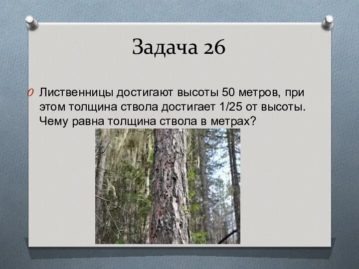 Задача 26 Лиственницы достигают высоты 50 метров, при этом толщина ствола