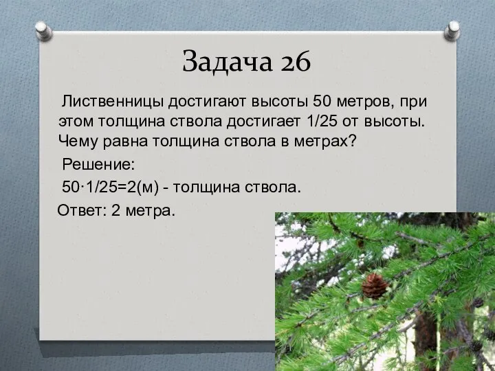 Задача 26 Лиственницы достигают высоты 50 метров, при этом толщина ствола