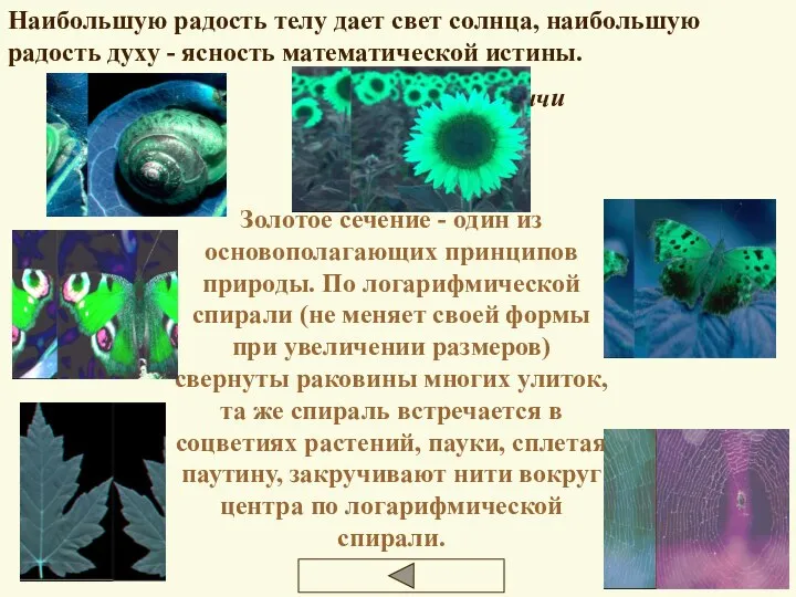 Наибольшую радость телу дает свет солнца, наибольшую радость духу - ясность