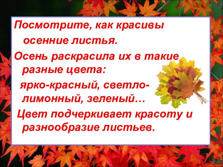 Посмотрите, как красивы осенние листья. Осень раскрасила их в такие разные