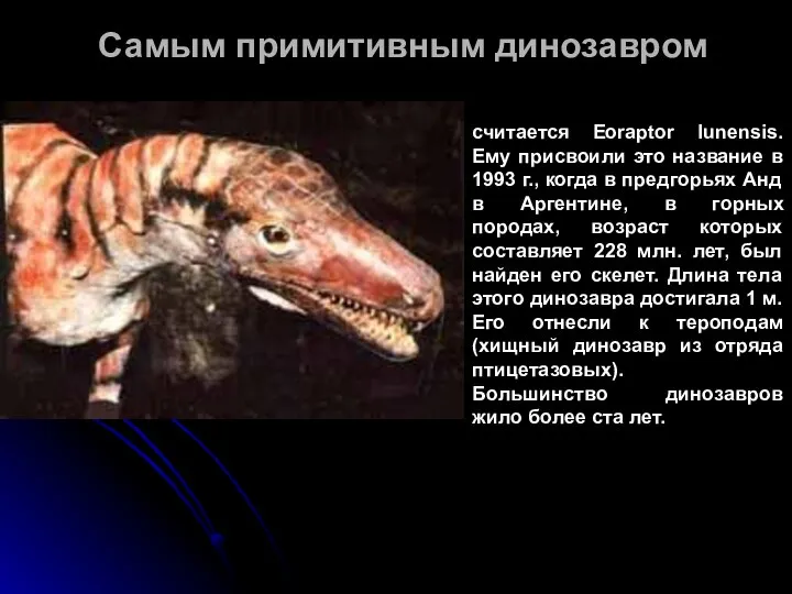 Самым примитивным динозавром считается Eoraptor lunensis. Ему присвоили это название в