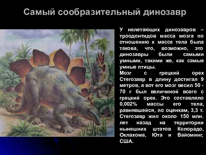 Самый сообразительный динозавр У нелетающих динозавров – троодонтидов масса мозга по