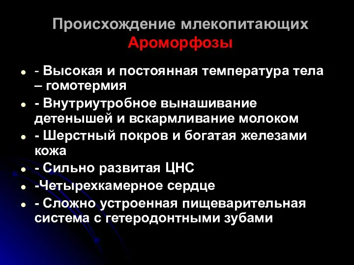 Происхождение млекопитающих Ароморфозы - Высокая и постоянная температура тела – гомотермия