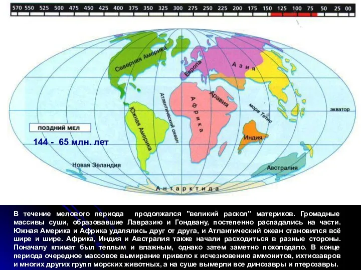 В течение мелового периода продолжался "великий раскол" материков. Громадные массивы суши,