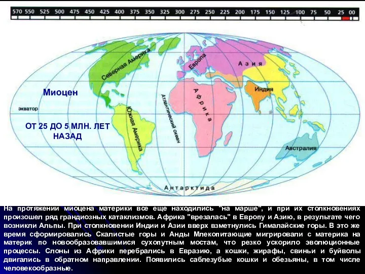 ОТ 25 ДО 5 МЛН. ЛЕТ НАЗАД Миоцен На протяжении миоцена