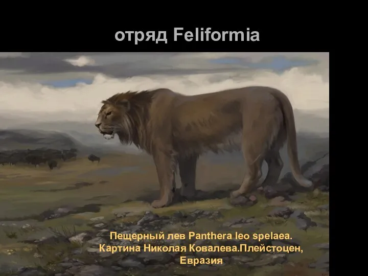 отряд Feliformia Пещерный лев Panthera leo spelaea. Картина Николая Ковалева.Плейстоцен, Евразия