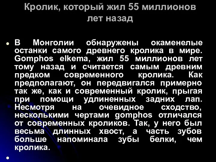 Кролик, который жил 55 миллионов лет назад В Монголии обнаружены окаменелые