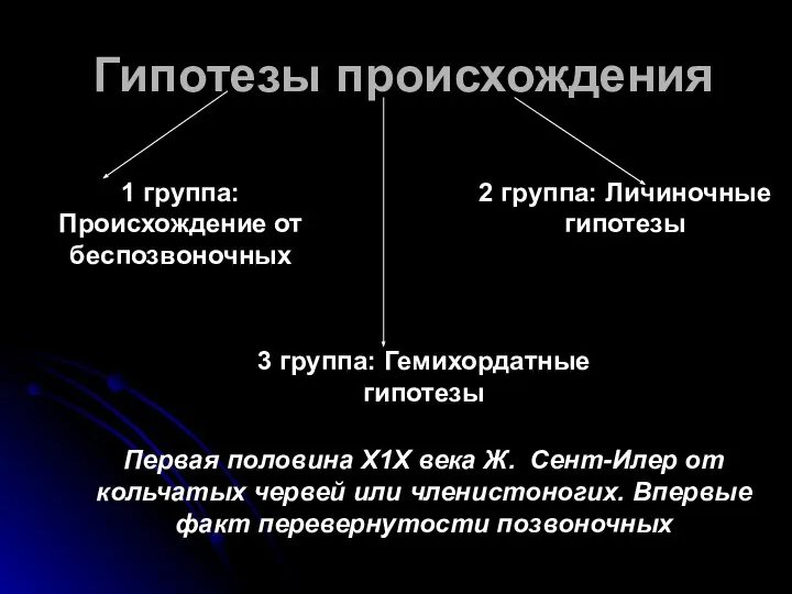 Гипотезы происхождения 1 группа: Происхождение от беспозвоночных 2 группа: Личиночные гипотезы