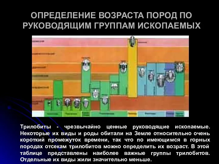 ОПРЕДЕЛЕНИЕ ВОЗРАСТА ПОРОД ПО РУКОВОДЯЩИМ ГРУППАМ ИСКОПАЕМЫХ Трилобиты - чрезвычайно ценные