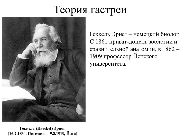 Теория гастреи Геккель (Haeckel) Эрнст (16.2.1834, Потсдам,— 9.8.1919, Йена) Геккель Эрнст