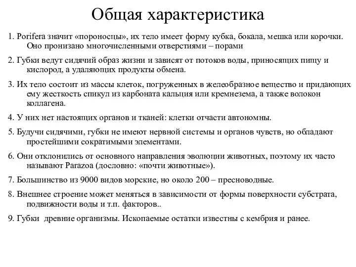 Общая характеристика 1. Porifera значит «пороносцы», их тело имеет форму кубка,