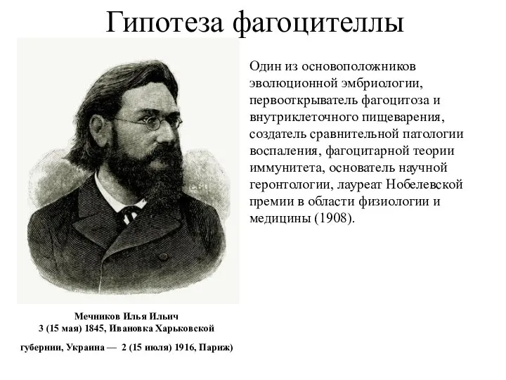 Гипотеза фагоцителлы Мечников Илья Ильич 3 (15 мая) 1845, Ивановка Харьковской