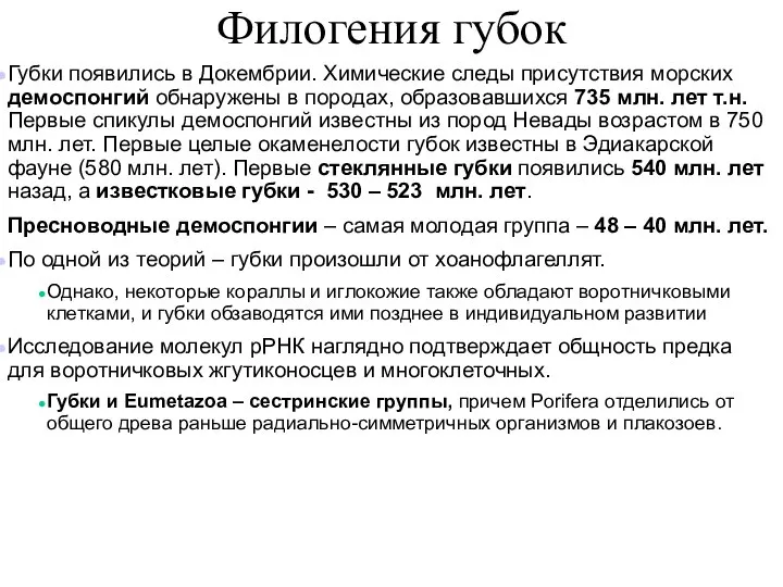 Филогения губок Губки появились в Докембрии. Химические следы присутствия морских демоспонгий