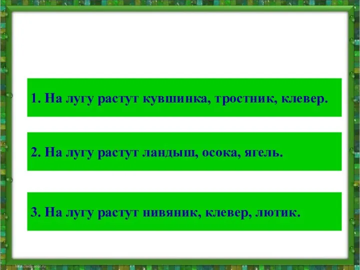 Тест Выбери правильный ответ: 1. На лугу растут кувшинка, тростник, клевер.