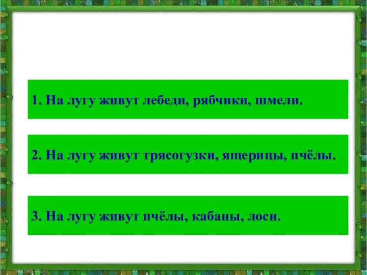 Тест Выбери правильный ответ: 1. На лугу живут лебеди, рябчики, шмели.