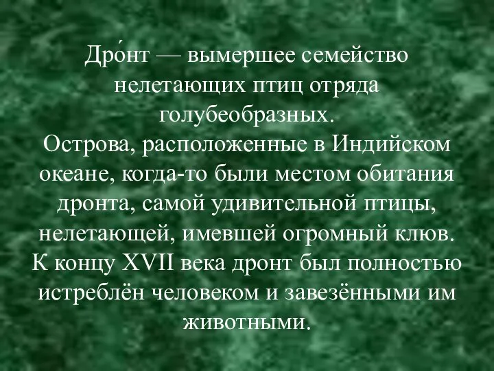 Дро́нт — вымершее семейство нелетающих птиц отряда голубеобразных. Острова, расположенные в