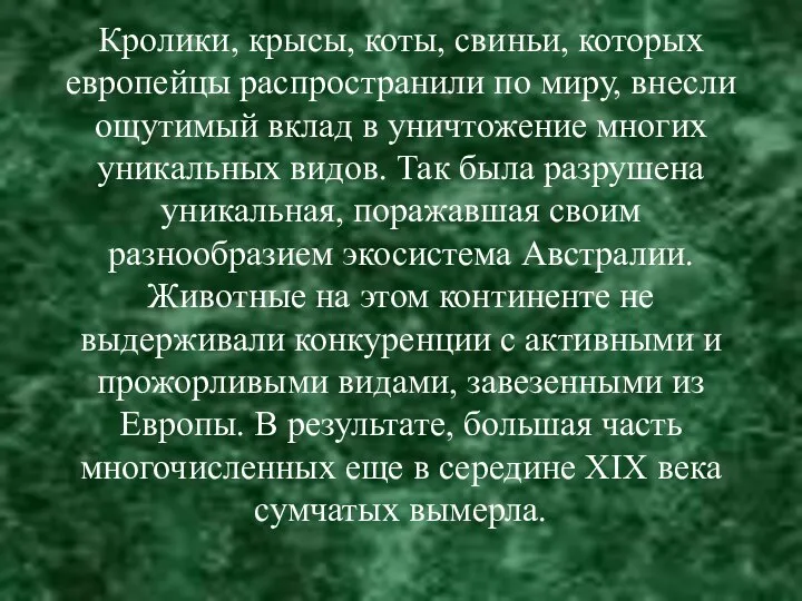 Кролики, крысы, коты, свиньи, которых европейцы распространили по миру, внесли ощутимый