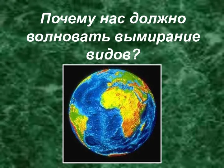 Почему нас должно волновать вымирание видов?