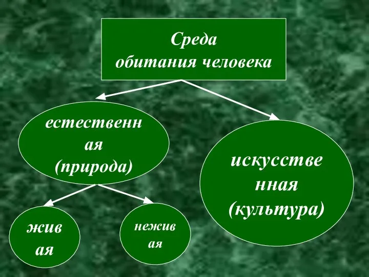 Среда обитания человека естественная (природа) искусственная (культура) живая неживая