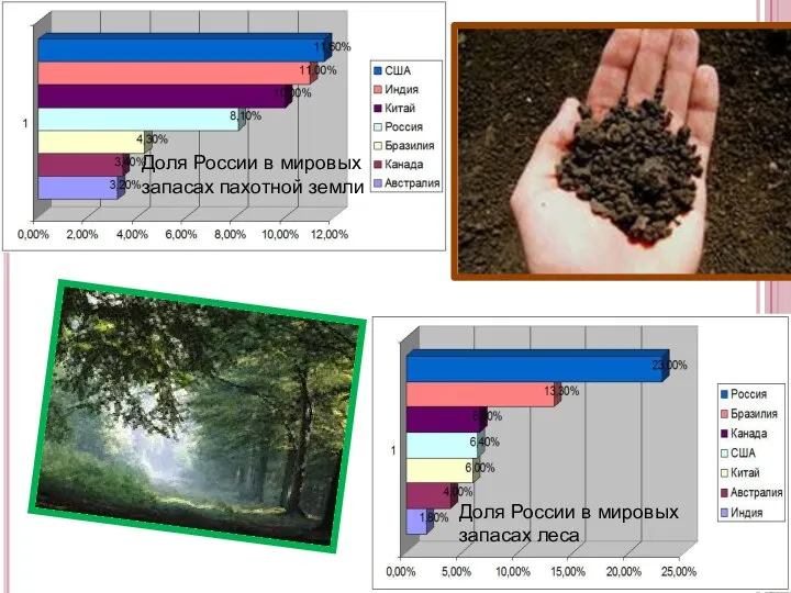 Доля России в мировых запасах пахотной земли Доля России в мировых запасах леса