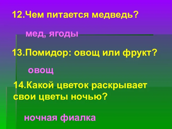 12.Чем питается медведь? мед, ягоды 13.Помидор: овощ или фрукт? овощ 14.Какой