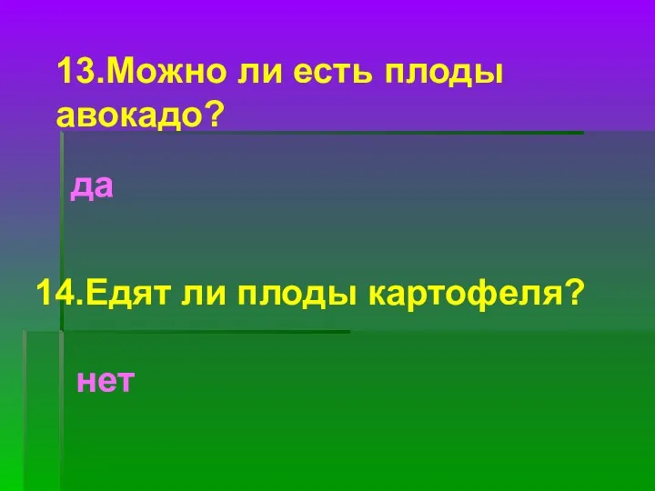 13.Можно ли есть плоды авокадо? да 14.Едят ли плоды картофеля? нет