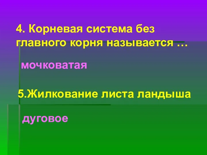 4. Корневая система без главного корня называется … мочковатая 5.Жилкование листа ландыша дуговое