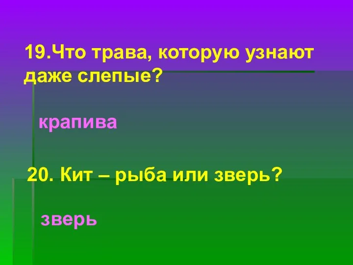 19.Что трава, которую узнают даже слепые? крапива 20. Кит – рыба или зверь? зверь