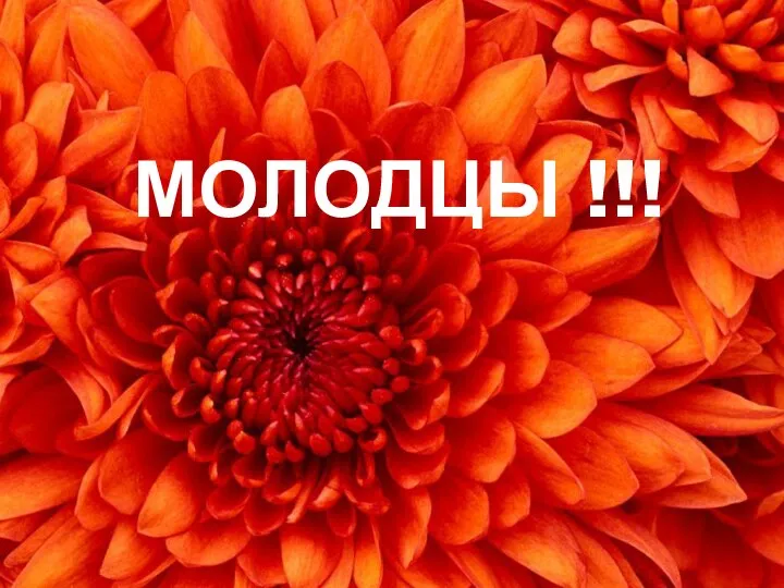 МОЛОДЦЫ !!!