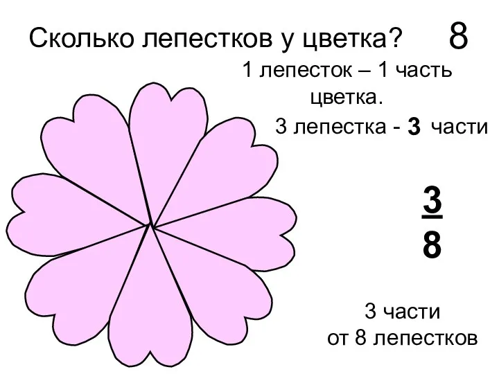 Сколько лепестков у цветка? 8 1 лепесток – 1 часть цветка.