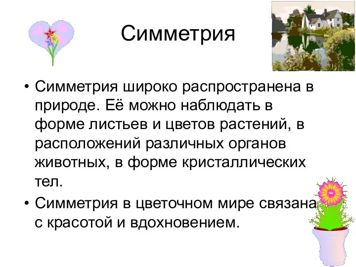 Симметрия Симметрия широко распространена в природе. Её можно наблюдать в форме