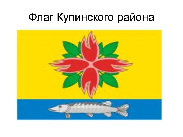 Флаг Купинского района