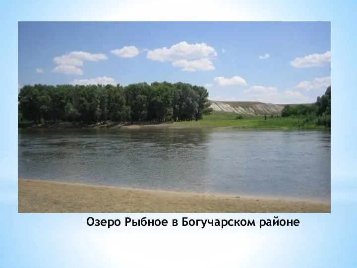 Озеро Рыбное в Богучарском районе