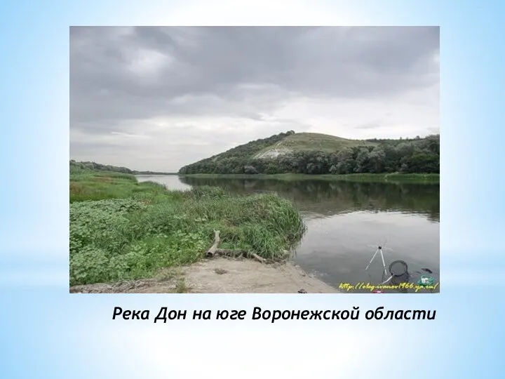 Река Дон на юге Воронежской области