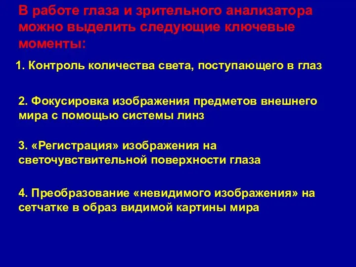 В работе глаза и зрительного анализатора можно выделить следующие ключевые моменты: