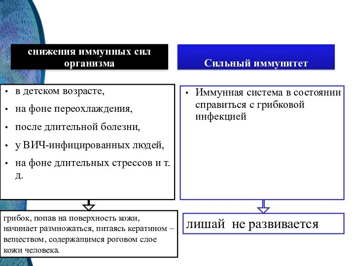 снижения иммунных сил организма в детском возрасте, на фоне переохлаждения, после