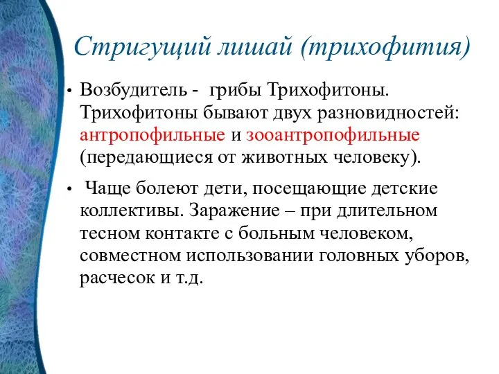 Стригущий лишай (трихофития) Возбудитель - грибы Трихофитоны. Трихофитоны бывают двух разновидностей: