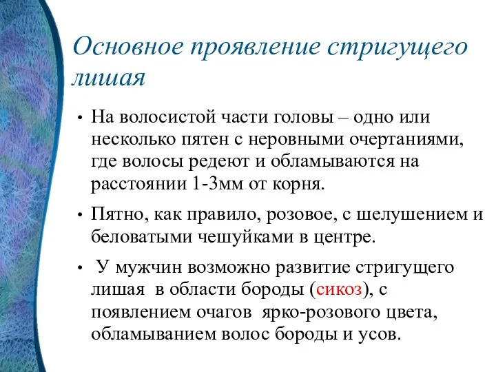 Основное проявление стригущего лишая На волосистой части головы – одно или