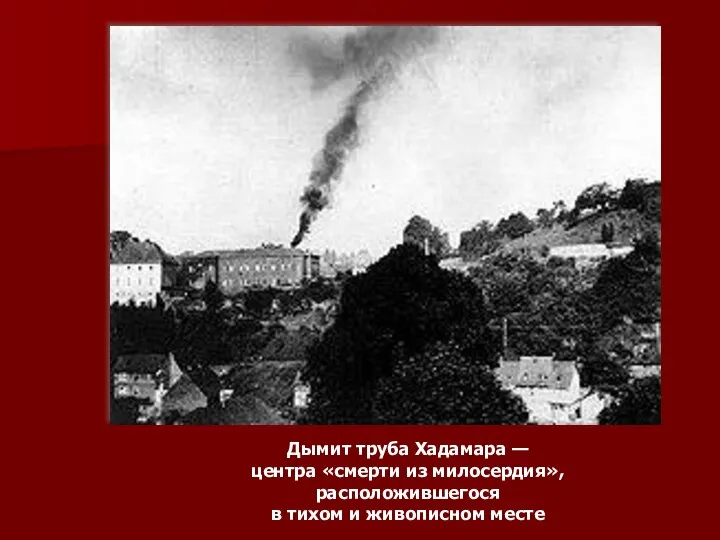 Дымит труба Хадамара — центра «смерти из милосердия», расположившегося в тихом и живописном месте