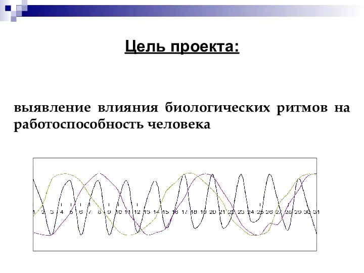 Цель проекта: выявление влияния биологических ритмов на работоспособность человека