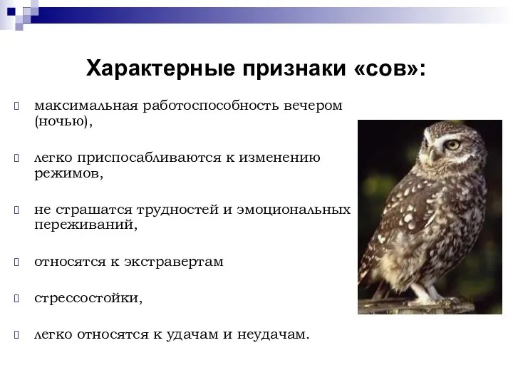 Характерные признаки «сов»: максимальная работоспособность вечером (ночью), легко приспосабливаются к изменению