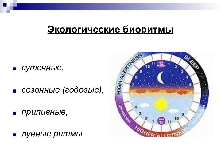 Экологические биоритмы суточные, сезонные (годовые), приливные, лунные ритмы