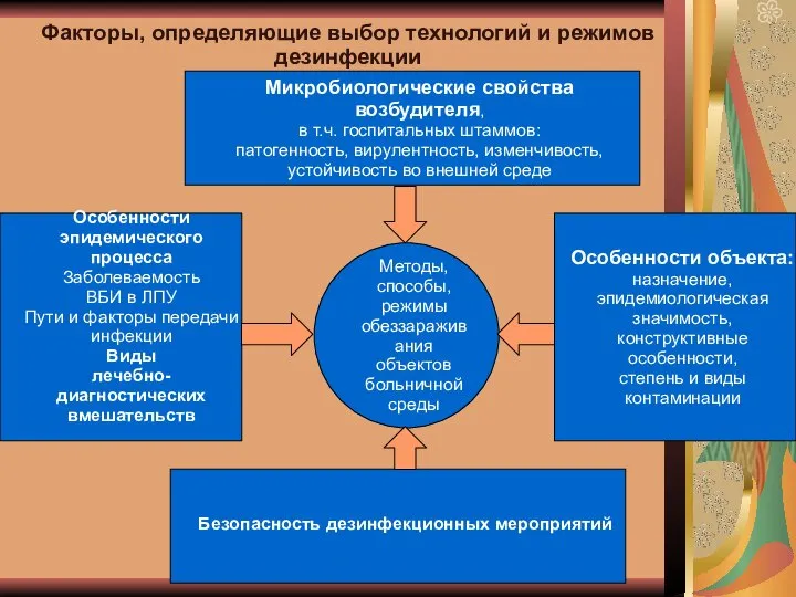 Микробиологические свойства возбудителя, в т.ч. госпитальных штаммов: патогенность, вирулентность, изменчивость, устойчивость