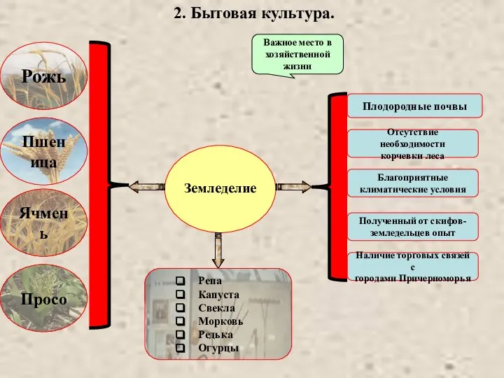 2. Бытовая культура. Земледелие Важное место в хозяйственной жизни Плодородные почвы