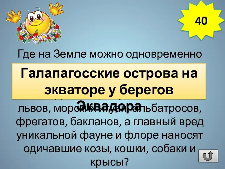 Где на Земле можно одновременно встретить пингвинов, кактусы опунции высотой до