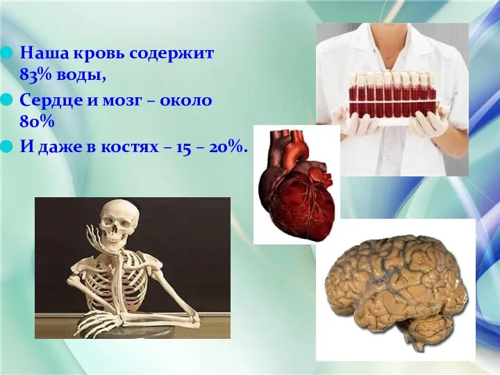 Наша кровь содержит 83% воды, Сердце и мозг – около 80%