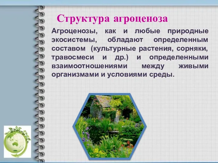 Структура агроценоза Агроценозы, как и любые природные экосистемы, обладают определенным составом