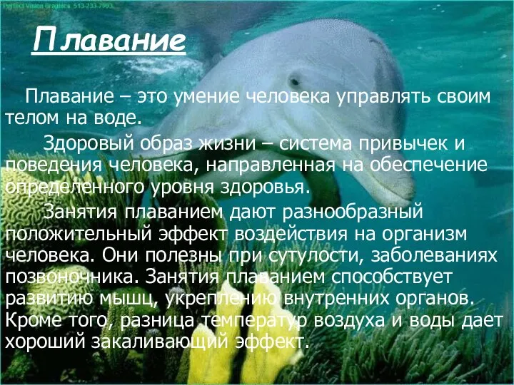 Плавание Плавание – это умение человека управлять своим телом на воде.