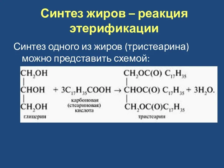 Синтез жиров – реакция этерификации Синтез одного из жиров (тристеарина) можно представить схемой: